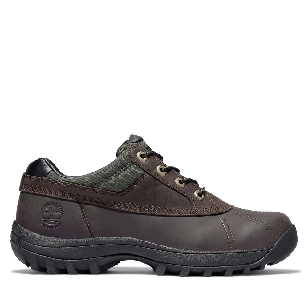 Sapatos de Oxford Masculino - Timberland Canard Impermeavel - MYPVN3762 - Marrom